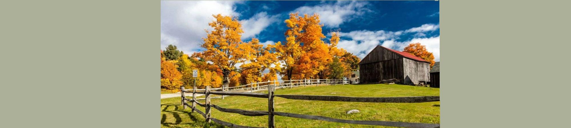 Farm scene with orange autumn maple leaves