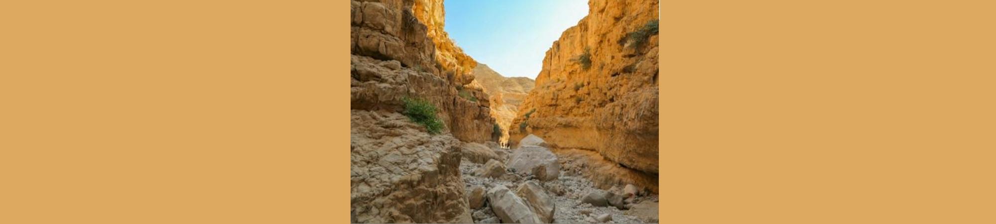 Desert canyon in the bottom looking up stream. Evokes the Holy Land. 