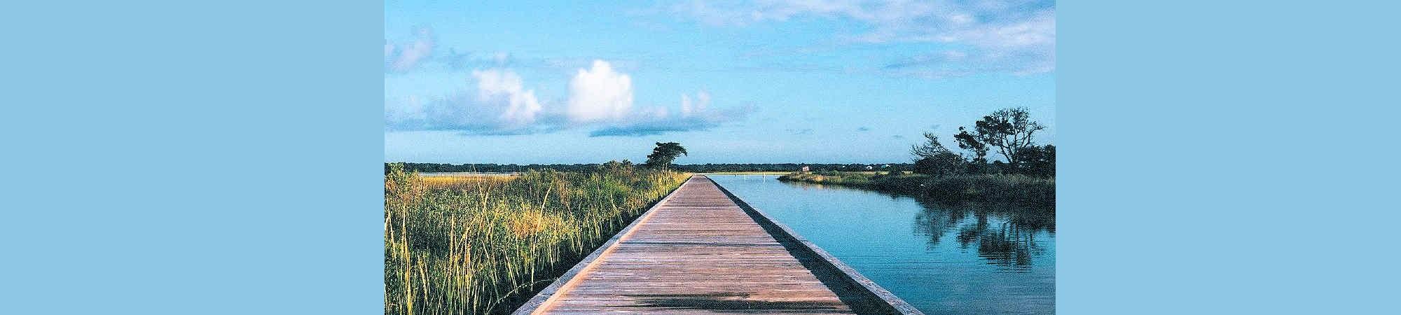 Walkway along a marsh, showing the way to go.