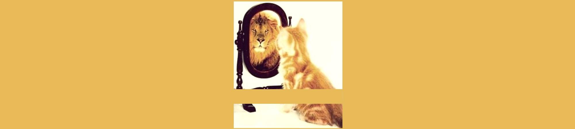 Tawny cat looking in mirror sees a lion