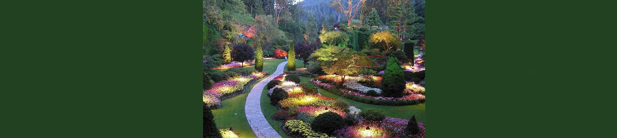 Garden at dusk with a path and lights in the bushes