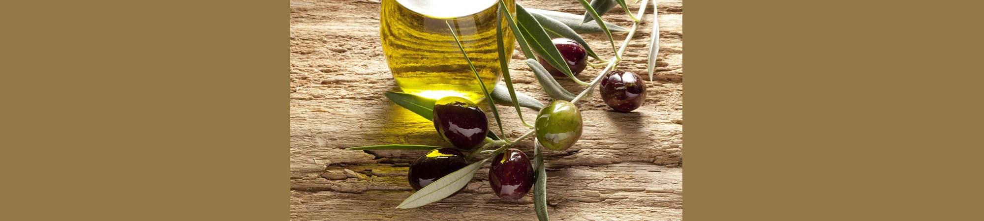 Olive branch and bottle of oil