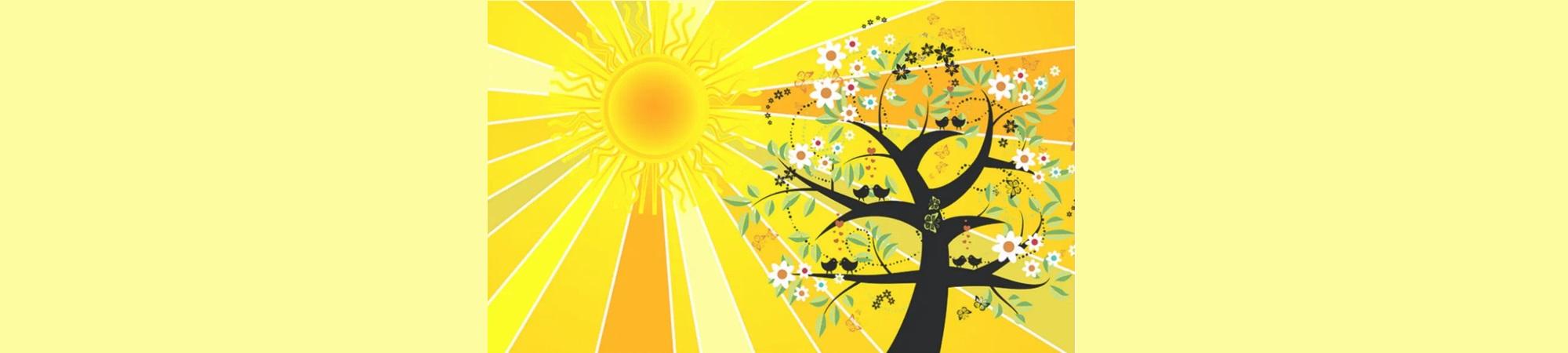 Summer Solstice sunshine artistic tree