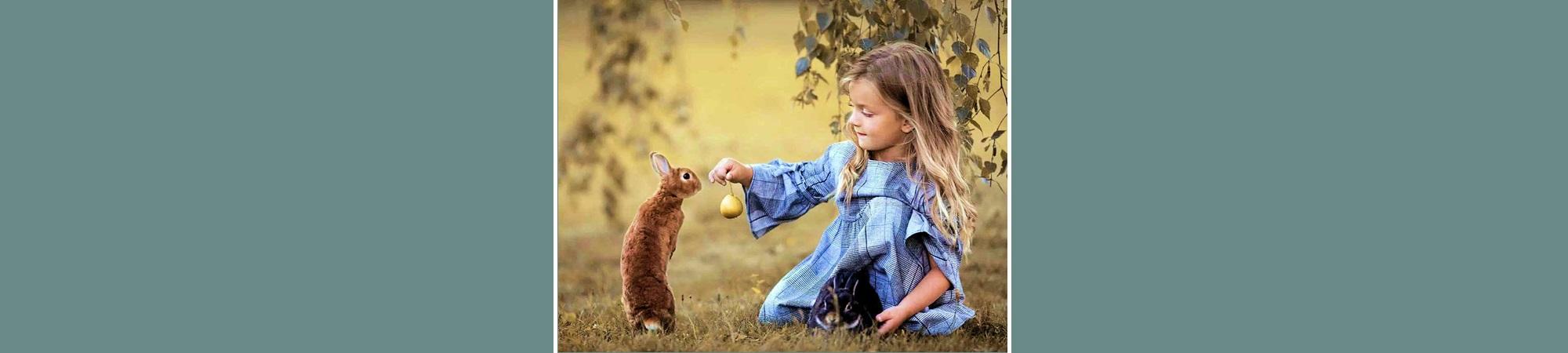 Girl feeds a rabbit